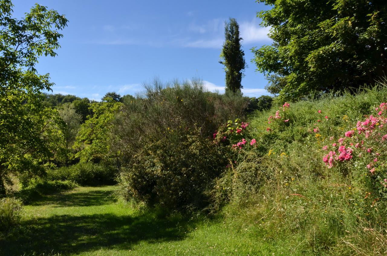 Agriturismo VILLA MOZART nel verde Gubbio Exterior foto