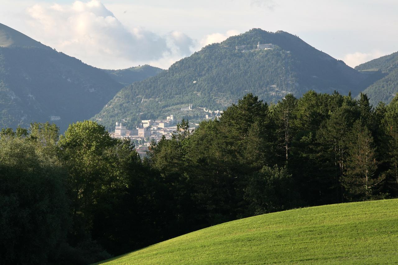 Agriturismo VILLA MOZART nel verde Gubbio Exterior foto