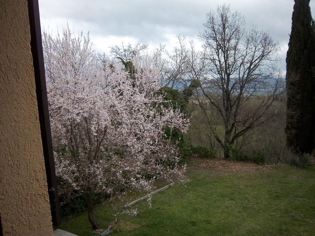 Agriturismo VILLA MOZART nel verde Gubbio Exterior foto