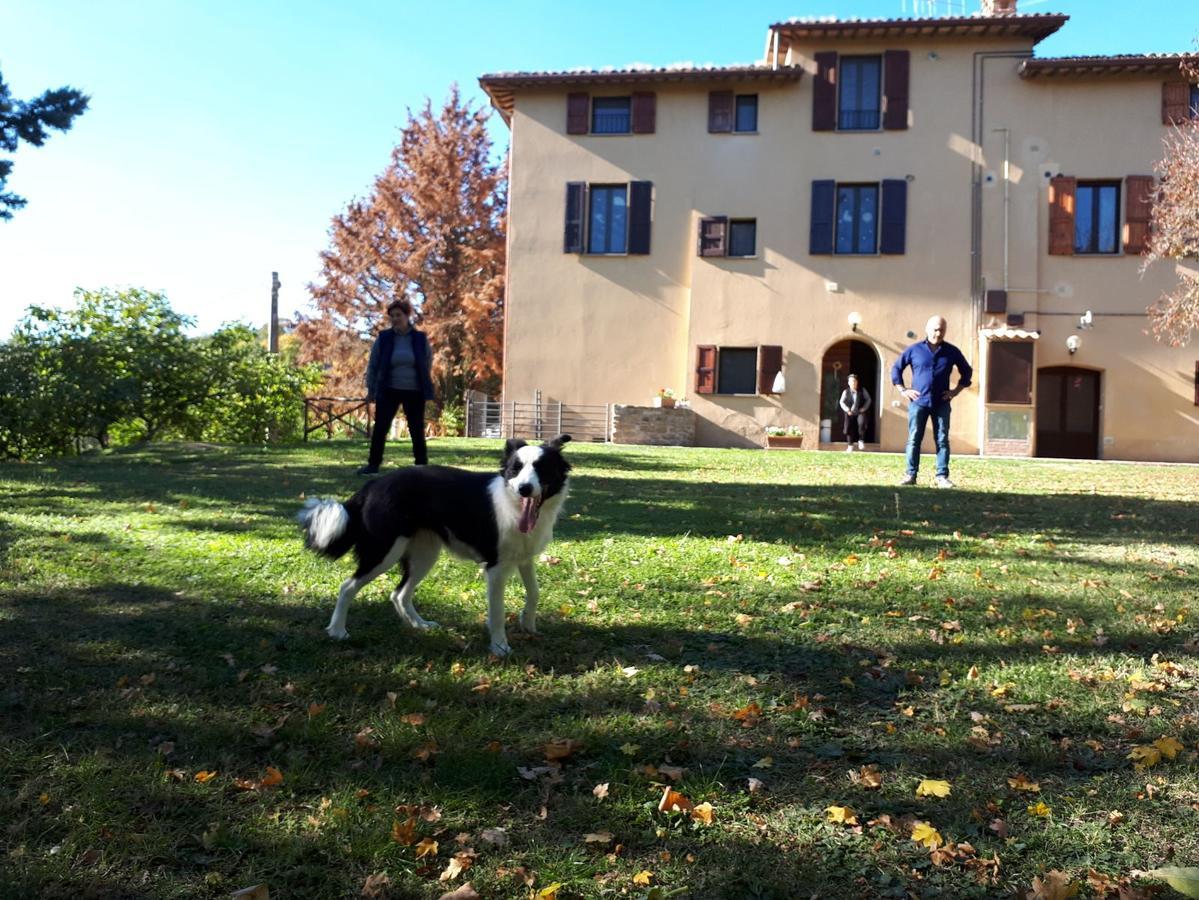 Agriturismo VILLA MOZART nel verde Gubbio Exterior foto